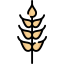 Wheat icon 64x64