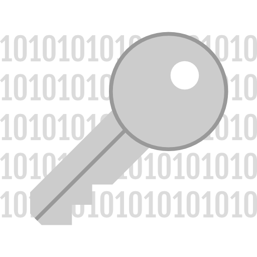 Password icon