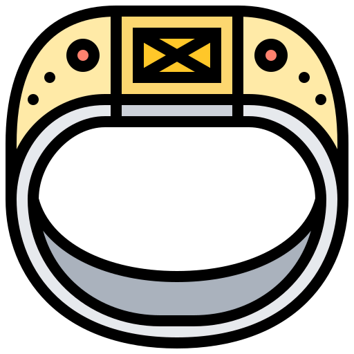 Ring icon