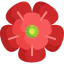 Rose icon 64x64