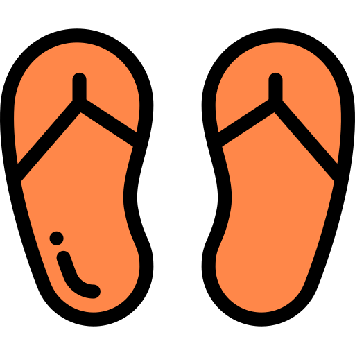 Flip flops icon