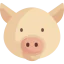 Pig 图标 64x64