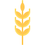 Wheat 图标 64x64