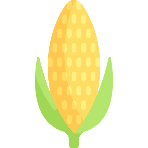 Corn icon