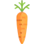 Carrot 图标 64x64