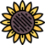 Sunflower 图标 64x64
