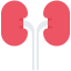 Kidneys biểu tượng 64x64