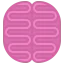 Brain icon 64x64