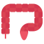 Colon icon 64x64