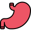 Stomach icon 64x64