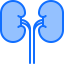Kidneys icon 64x64