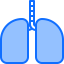 Lungs icon 64x64