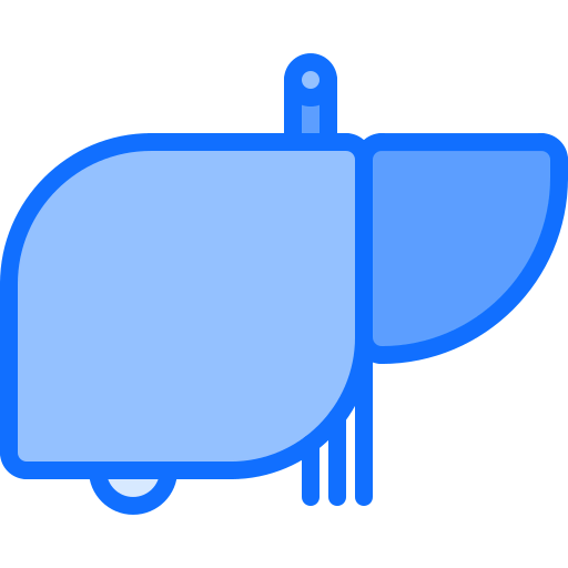 Liver icon