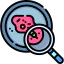 Research icon 64x64