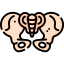 Pelvis 图标 64x64