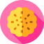 Cookies icon 64x64