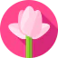 Lotus 图标 64x64