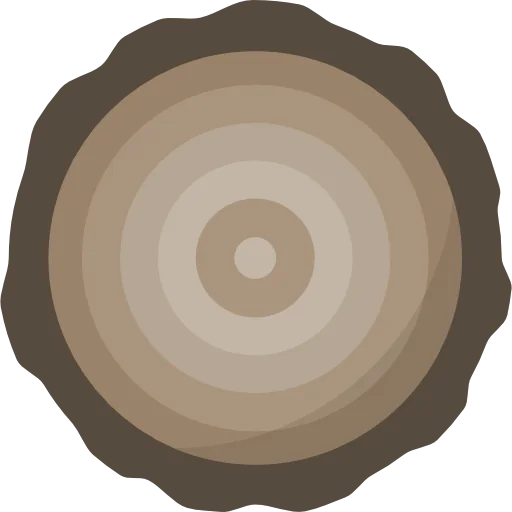 Trunk icon