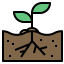 Plant 图标 64x64