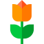 Flower іконка 64x64