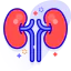 Kidney ícone 64x64