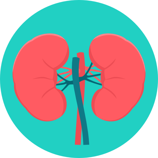 Kidneys 图标