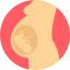 Pregnancy ícone 64x64