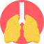 Lungs icon 64x64