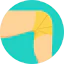 Knee іконка 64x64