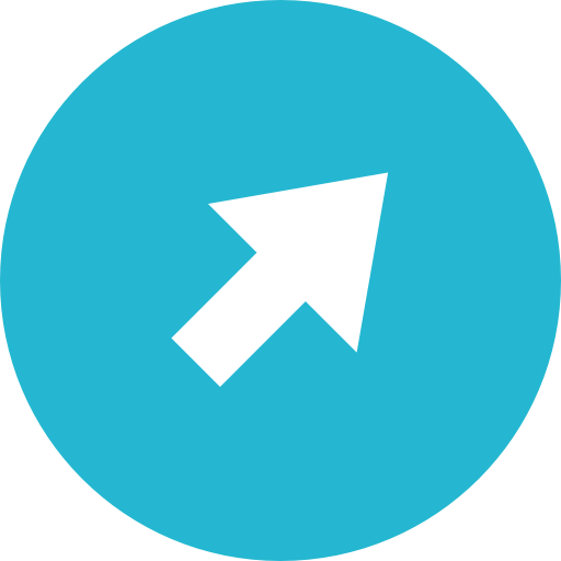 Arrow icon