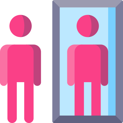Reflection icon