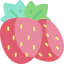 Strawberry Symbol 64x64