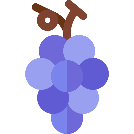 Grapes icon