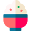 Rice 图标 64x64