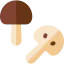 Mushroom 图标 64x64