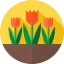 Tulips アイコン 64x64