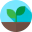 Sprout icon 64x64