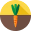 Carrot icon 64x64