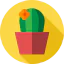 Cactus icon 64x64