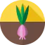 Onion ícono 64x64
