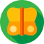 Butterfly icon 64x64