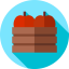 Apples icon 64x64