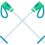 Ski poles icon 64x64