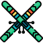 Ski icon 64x64