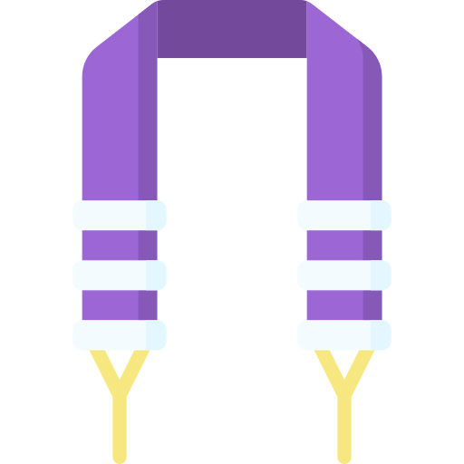 Camera strap icon