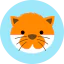 Cat 图标 64x64