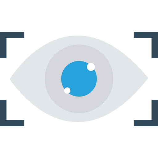 Eye scan 图标