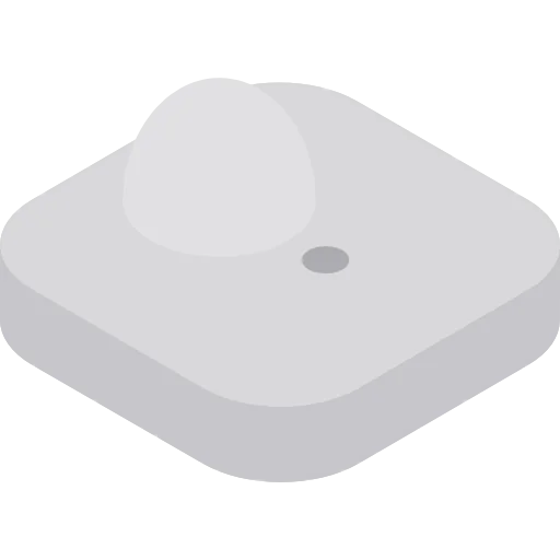 Anti theft system icon