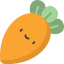 Carrot icon 64x64