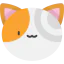 Cat icon 64x64